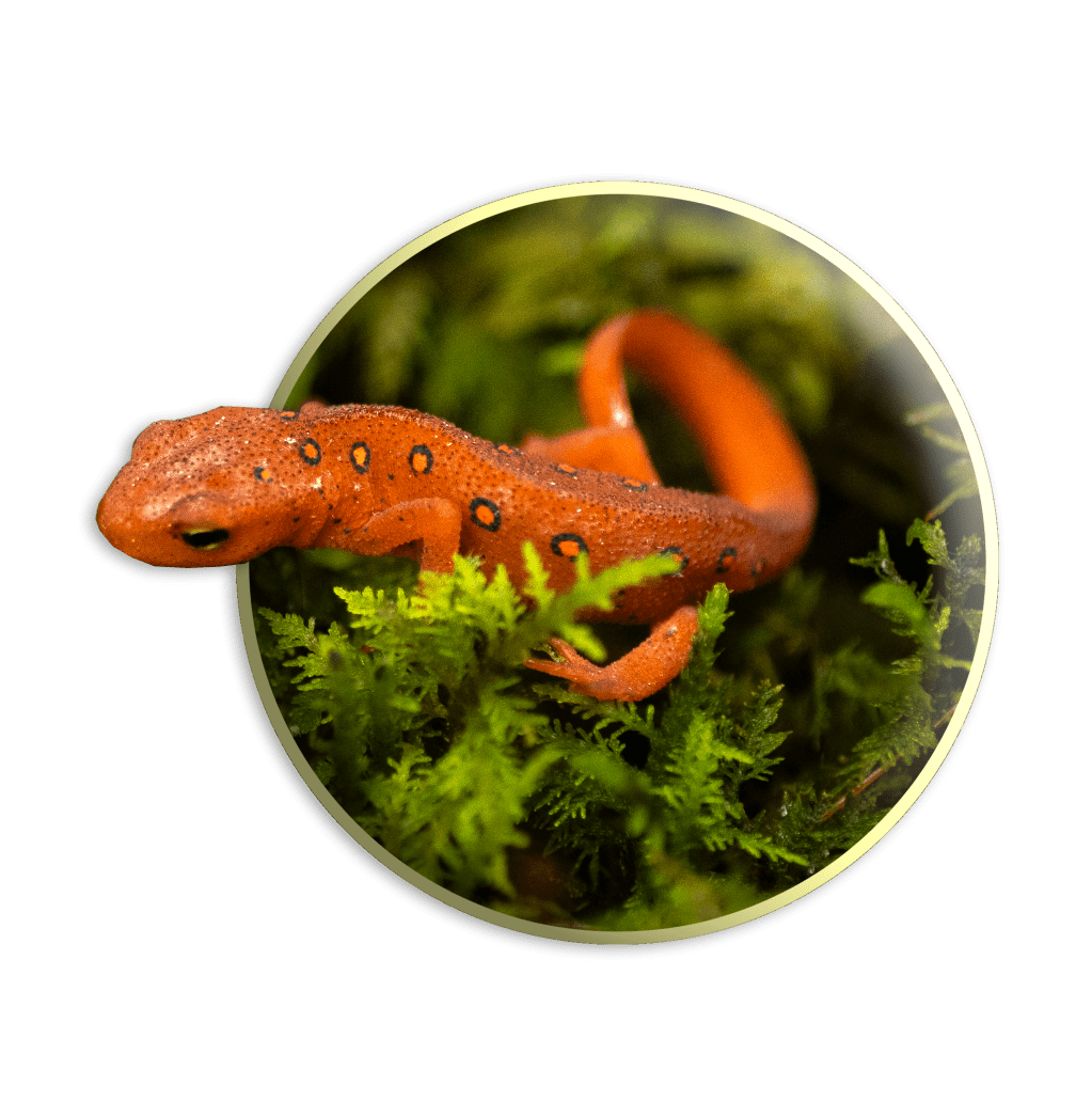 Before fall slips&nbsp;away